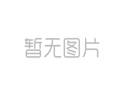 公司新闻栏目测试文章三